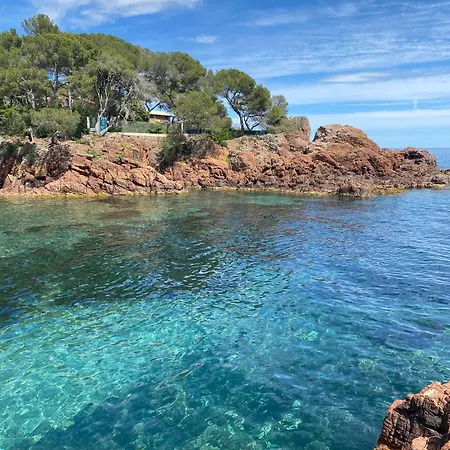 La Cigale Blanche Frejus